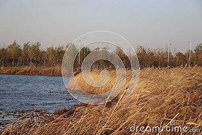 Winter Wetland Park in northern China Stock Photo