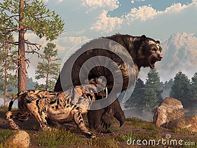 Saber Tooth versus Short Faced Bear Stock Photo