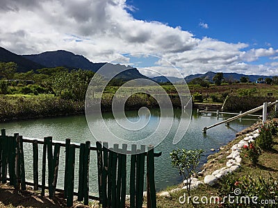 Sabeto Mud Pool nearby Nadi, Fiji Stock Photo