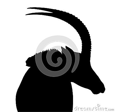 Sable Bull Portrait Side View Isolated Silhouette Vector Illustration