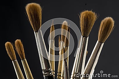 Sable Paint Brushes Stock Photo