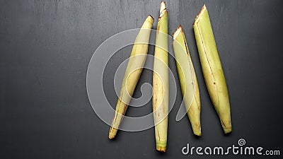 Saccharum edule, also known as terubuk, duruka, Fiji asparagus, dule, pitpit, & naviso. Cultivated in tropical climates Stock Photo