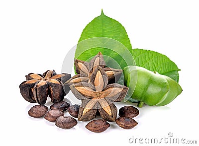 Sacha Inchi, fresh capsule seeds fruit of sa Stock Photo
