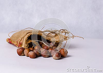Sack bag full of hazelnuts, rustic style photo Stock Photo
