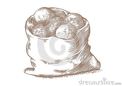 Sack of potatoes Vector Illustration