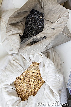 Sacks full with sunflower seeds and Einkorn wheat grains. Variety of beans, grains and seeds on a farmers market. Stock Photo