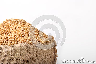 Sacks of wheat grains Stock Photo