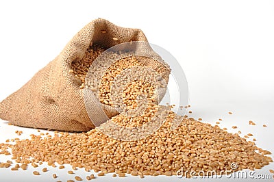 Sacks of wheat grains Stock Photo