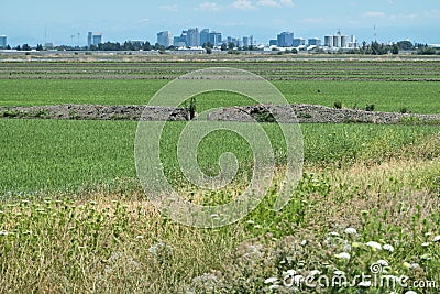 Sacramento skyline from Yolo Bypass Wildlife Area Stock Photo