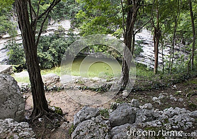 Sacred Cenote, Chichen Itza Stock Photo