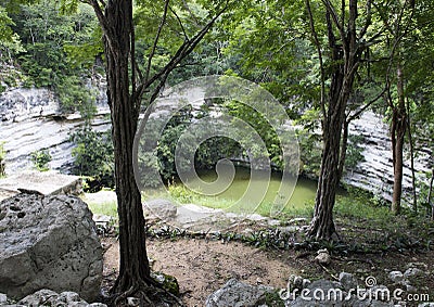 Sacred Cenote, Chichen Itza Stock Photo