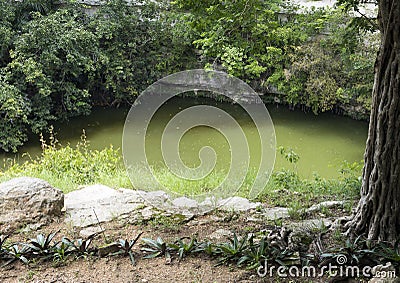 Sacred Cenote, Chichen Itza Stock Photo