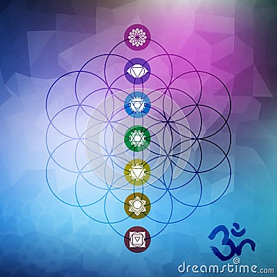 Sacred geometry flower of life with chakra icons Vector Illustration