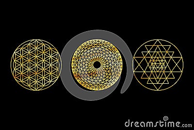 Sacred Geometry Gold Symbols on Black Background. Sri Yantra, Flower Of Life, Torus Yantra. Stock Photo