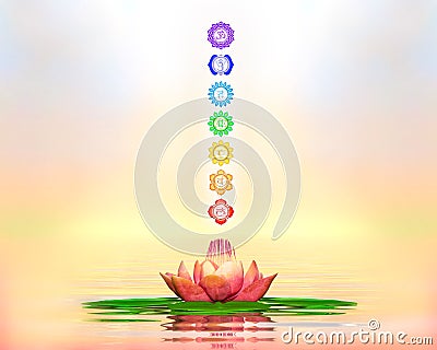 Sacred Lotus And Chakras Stock Photo