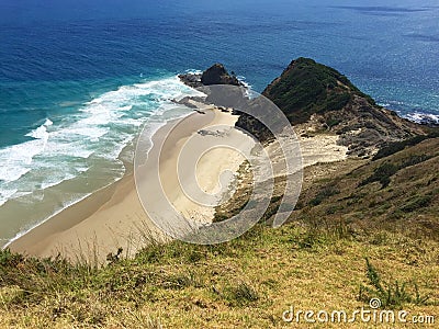 Sacred pohutukawa tree and beach at Cape Reinga, New Zealand Stock Photo