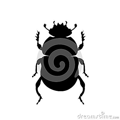 Sacred scarab beetle Vector Illustration