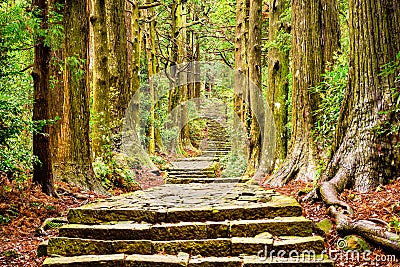 Sacred Trail in Japan Stock Photo