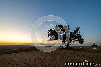 The sacred tree in Kalmykia. Silhouette of a gate or arch at the entrance to the cult object Stock Photo