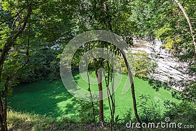 Sacrifice Cenote at Chichen Itza ruins. Mayan Culture. Traveling Stock Photo