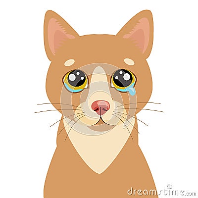 Sad Cat Vector Icon. Illustration Of Cute Sad Animal. Drear Crying Cat Vector. Vector Illustration