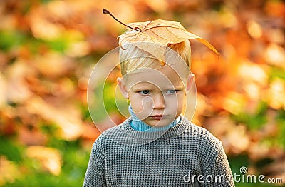 Sad child boy with autumn leaves, autumnal mood. Stock Photo