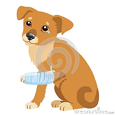 Sad Dog Story. Vector Illustration Of Cute Sad Dog Or Puppy. Sick Dog With Splinting Leg. Veterinary Theme. Vector Illustration