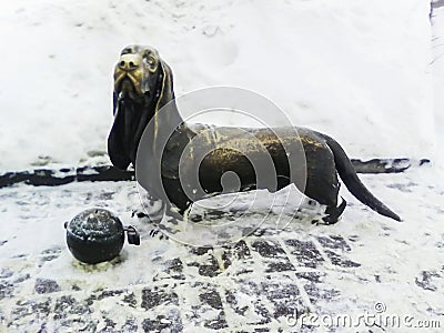 A sad-eyed dog collects donation money Stock Photo