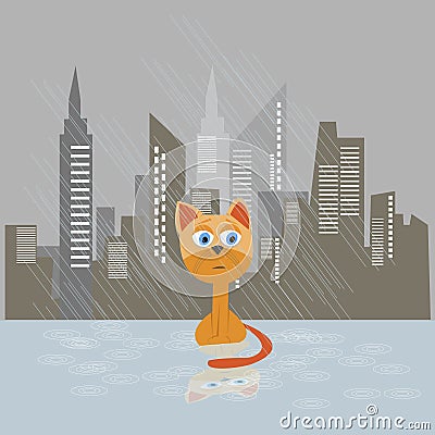 Sad kitten on a rain vector illustration. Vector Illustration