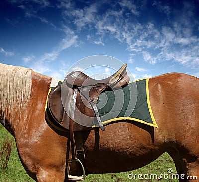 Saddle Stock Photo