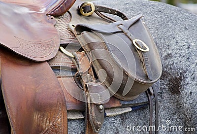 Saddle Bag on Horse Stock Photo