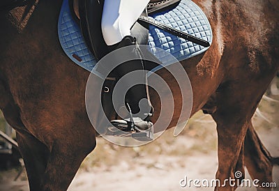 In the saddle on a Bay horse sits a rider in black boots Stock Photo