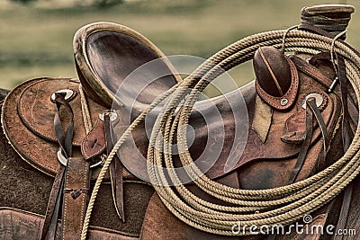 Saddle Up! Stock Photo