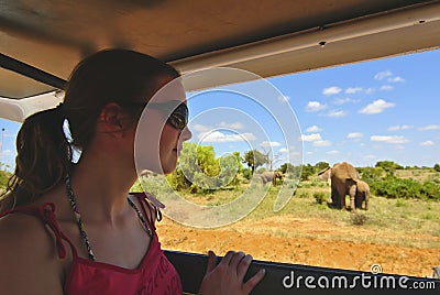 Safari Africa Stock Photo