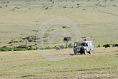 Safari game drive at Masai Mara Editorial Stock Photo
