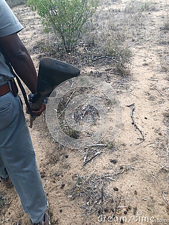 Safari guide with his rifle in the bush of South Africa Stock Photo