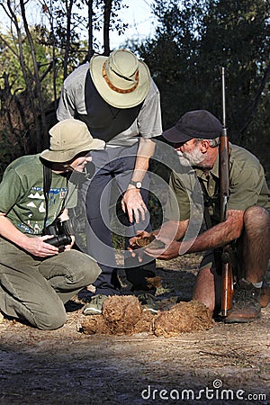 Safari Guide with tourists and elephant dung Stock Photo