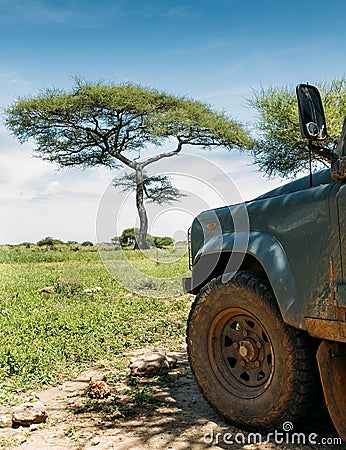 Safari Off-road large vehicle dirty front wheel with Lonely tree with beautiful wide-angle bright blue sky. Tarangire National Stock Photo