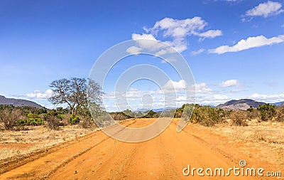 Safari road in Kenya Stock Photo