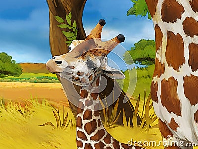 Safari scene with giraffes in wild nature illustration for the children Cartoon Illustration