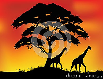 Safari silhouette background Vector Illustration