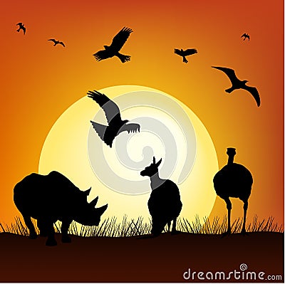 Safari sunset Vector Illustration