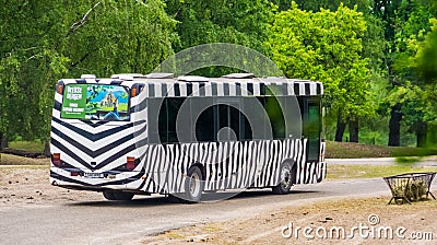 Safari tour bus with zebra print driving in safaripark beekse bergen, Hilvarenbeek, 25 may, 2019, the Netherlands Editorial Stock Photo