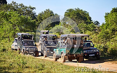 Safari traffic, four-wheel drive vehicles hardly pass each other in search of animals Editorial Stock Photo