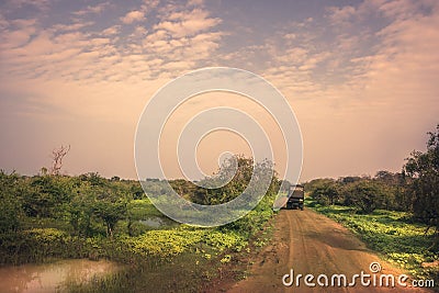 Safari travel tour on suv car in Yala national park reserve wetlands in Sri Lanka in vibrant orange pink purple colors Stock Photo