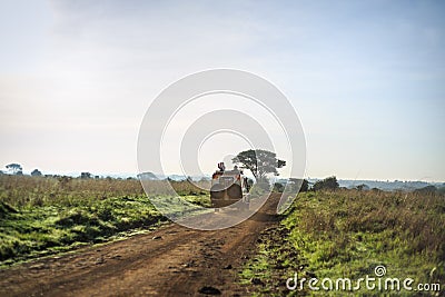 Safari trip through african savannah Stock Photo