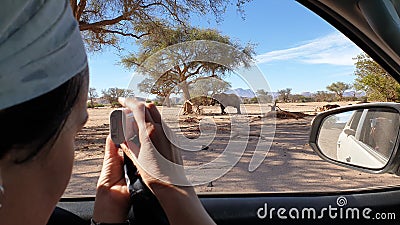 Safari trip Stock Photo