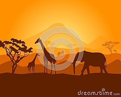 Safari Vector Illustration