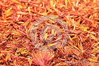 Safflower Stock Photo