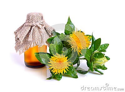 Safflower plant with oil in the bottle. Stock Photo